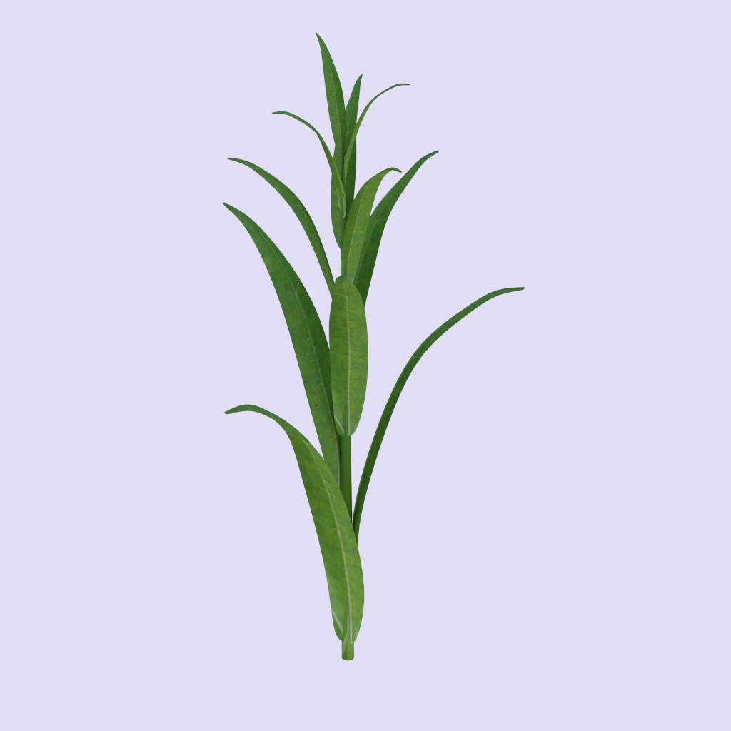 Simple Plant preview image 1